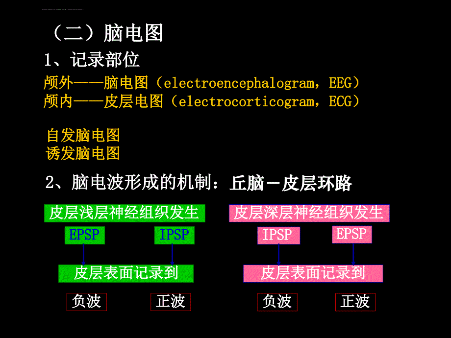 脑的高级功能及其电活动课件_第3页