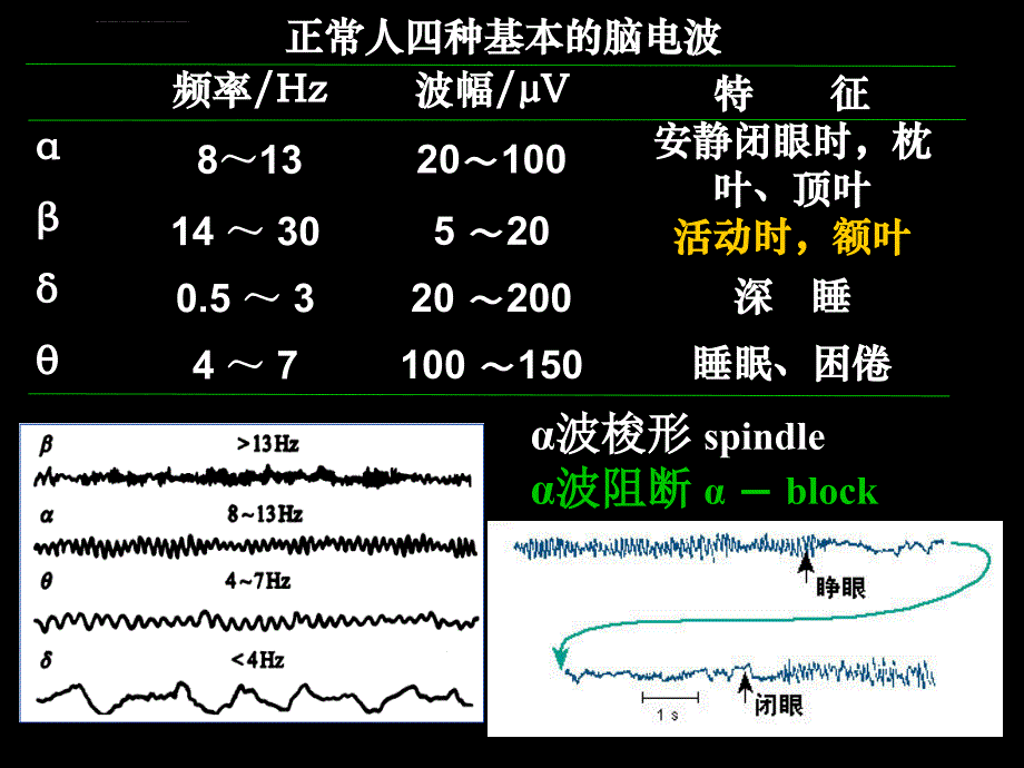 脑的高级功能及其电活动课件_第4页