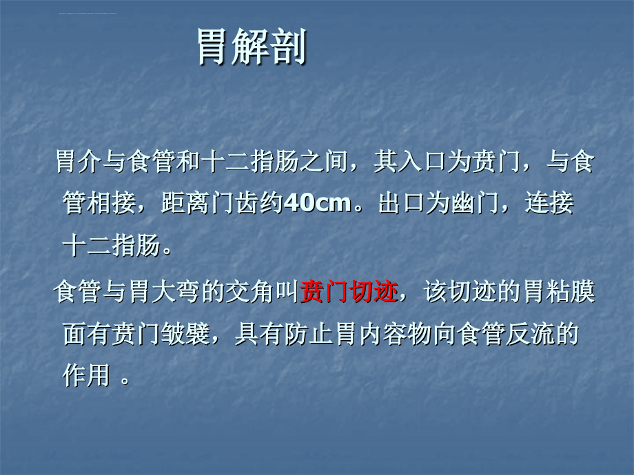 胃十二指肠疾病综述课件_第2页