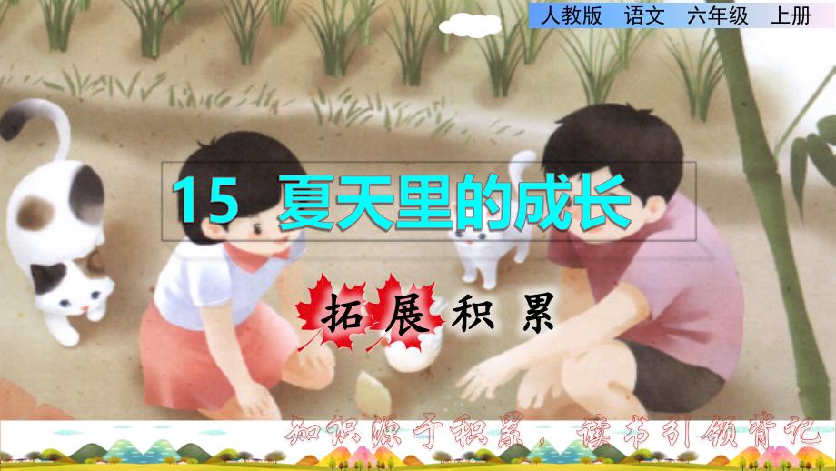 统编版小学语文六年级上册第五单元《15.夏天里的成长》拓展积累课件PPT_第1页