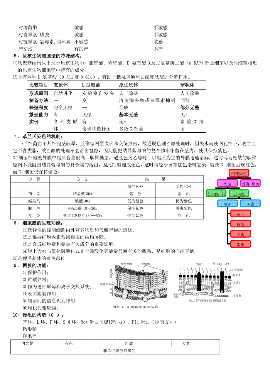 食品微生物总结.doc_第3页