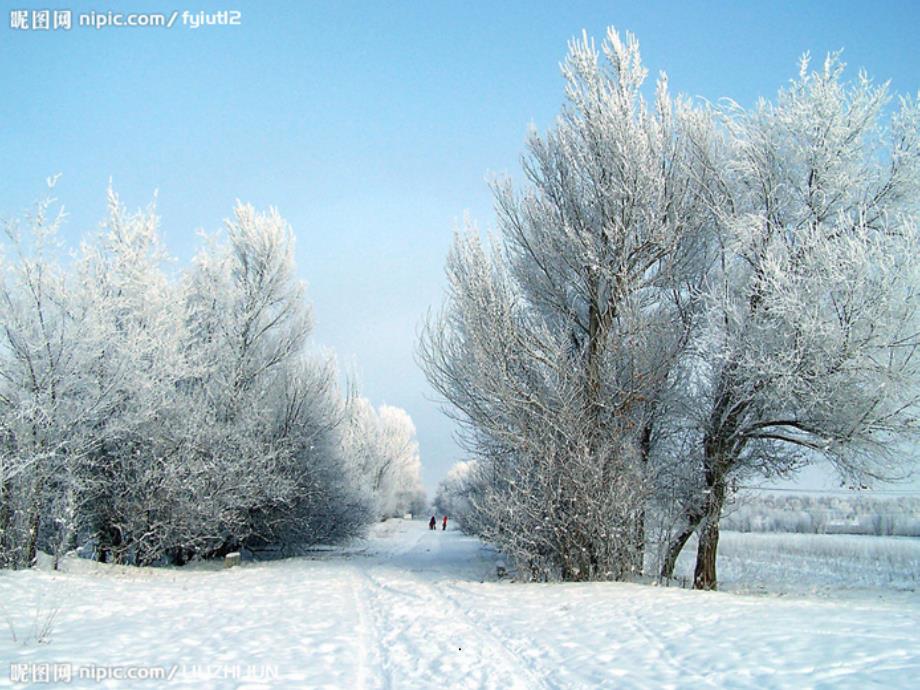 部编教材一年级《雪地里的小画家》优秀--完整11ppt课件_第3页