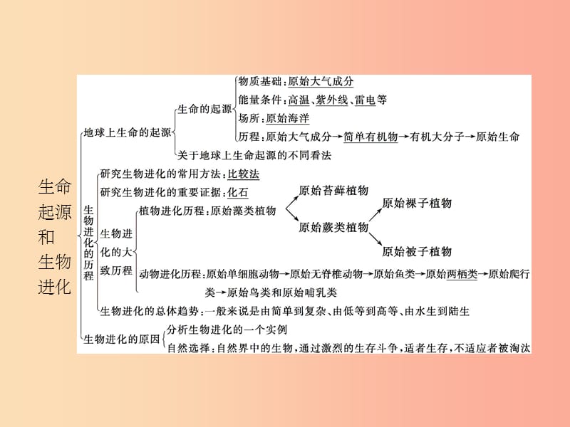 八年级生物下册 第七单元 生物圈中生命的延续和发展 第三章 生命起源和生物进化整合课件 新人教版_第2页