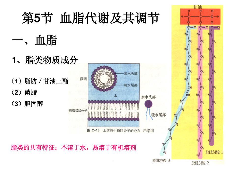 血脂、血压调节(修改)ppt课件_第2页