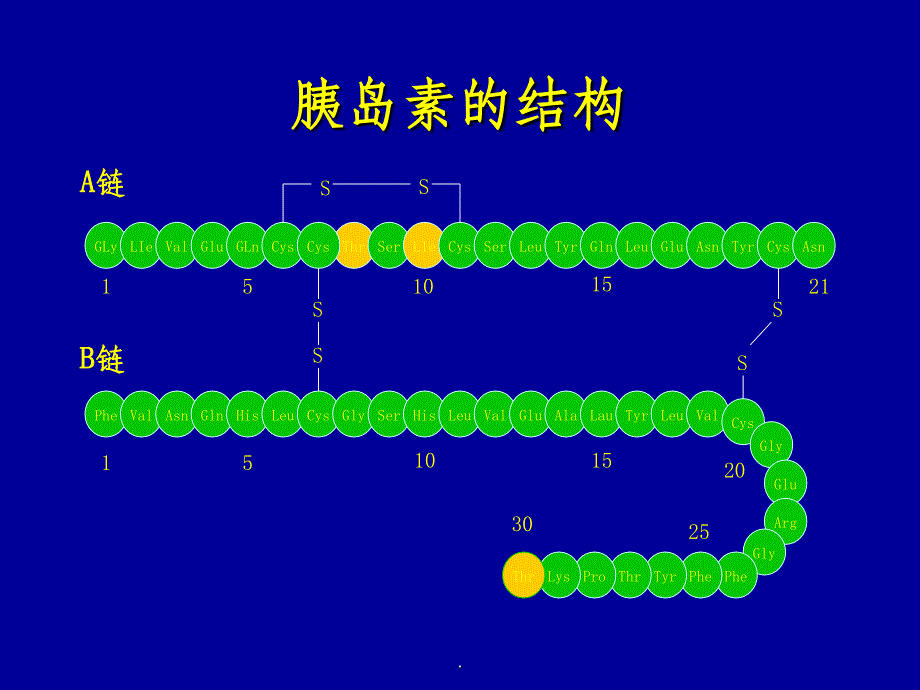 胰岛素的种类及用法ppt课件_第4页