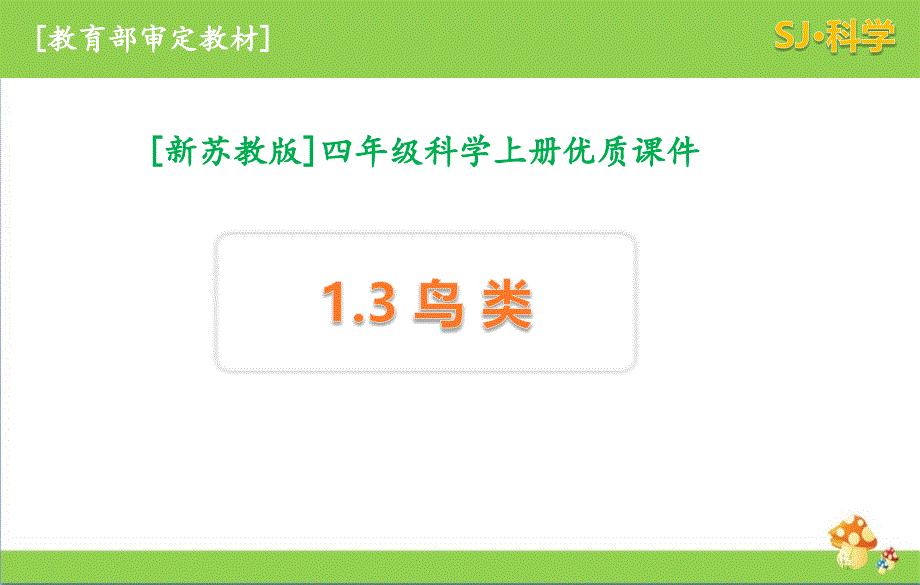 2020秋苏教版科学四年级上册1.3鸟类优质教学课件_第1页