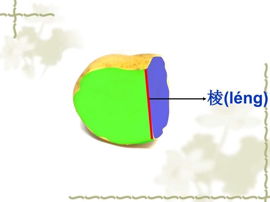 二年级上册数学课件-5.2 几何小实践（正方体、长方体的初步认识）▏沪教版 (共22张PPT)_第5页