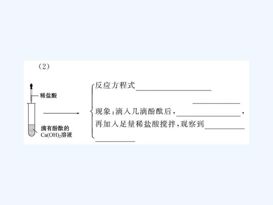 九级化学 1.2 中和反应课件 鲁教版五四制_第5页