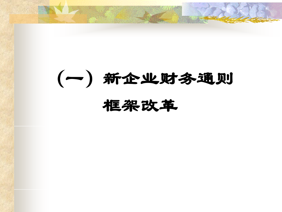 070612企业财务通则讲解投影(甘肃省农垦财会培训)精编版_第4页