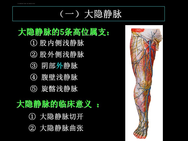 （局部解剖学）第八章下肢课件_第4页