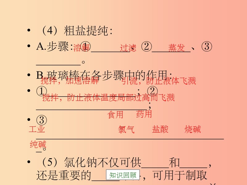 九年级化学下册专题七初识酸碱和盐单元3盐化学肥料复习课件新版湘教版_第5页