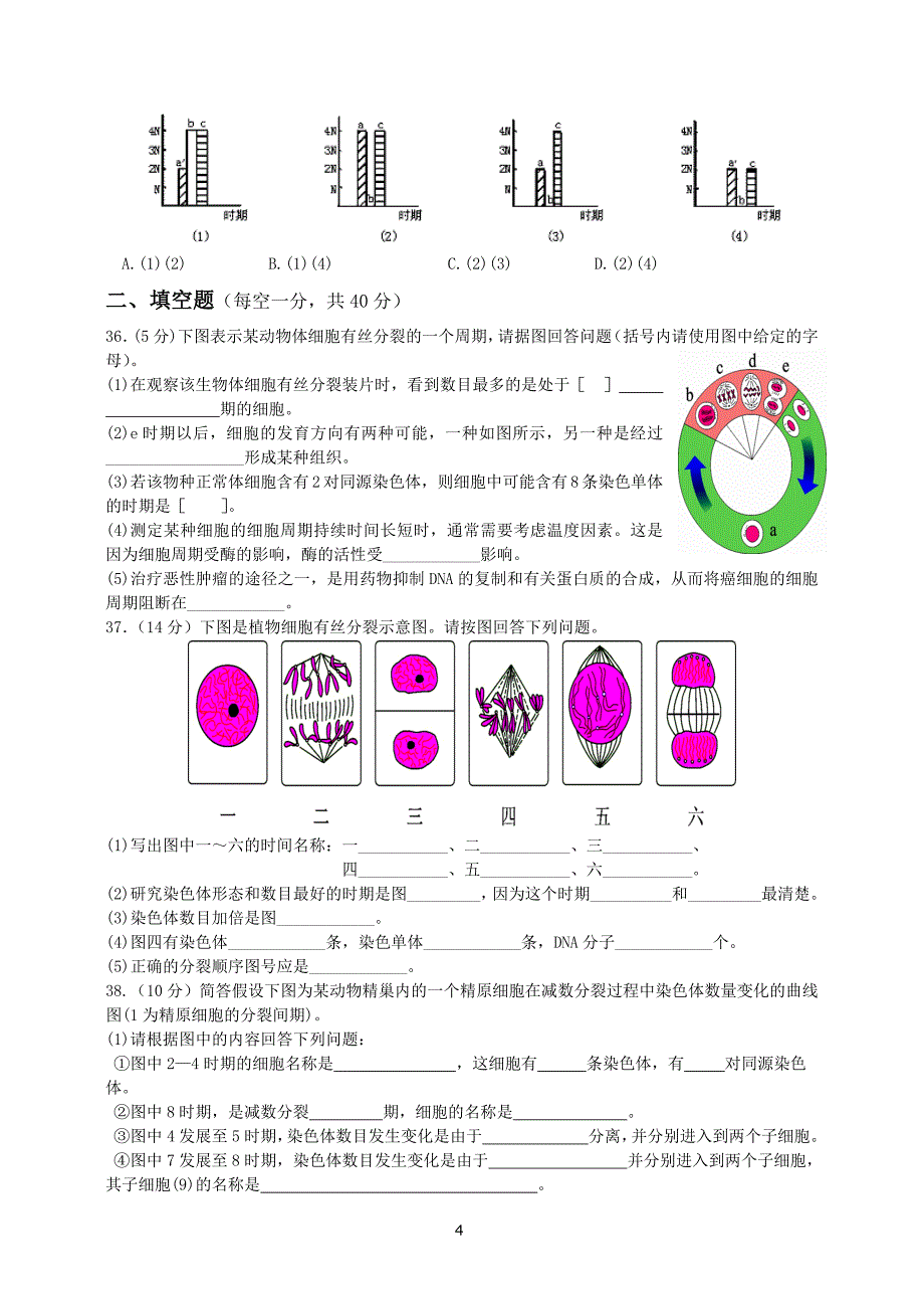 1122编号高中生物有丝分裂和减数分裂专题训练新人教版必修2_第4页