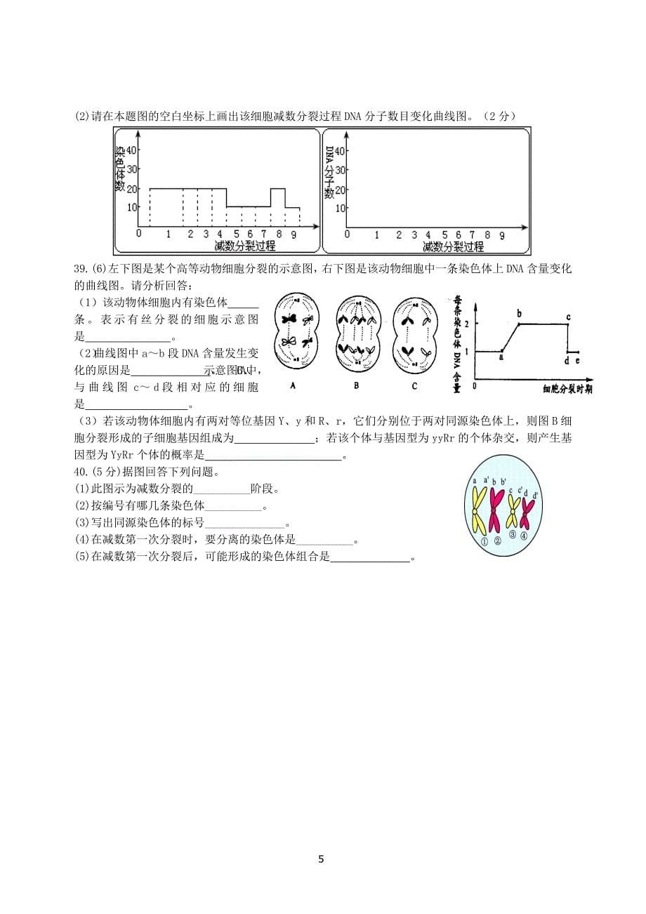 1122编号高中生物有丝分裂和减数分裂专题训练新人教版必修2_第5页