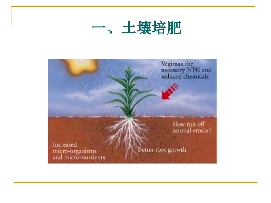 第四节 安全优质农产品的土壤环境质量控制.ppt_第2页