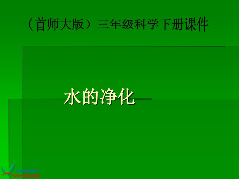 （首师大版）三年级科学下册课件 水的净化_第1页