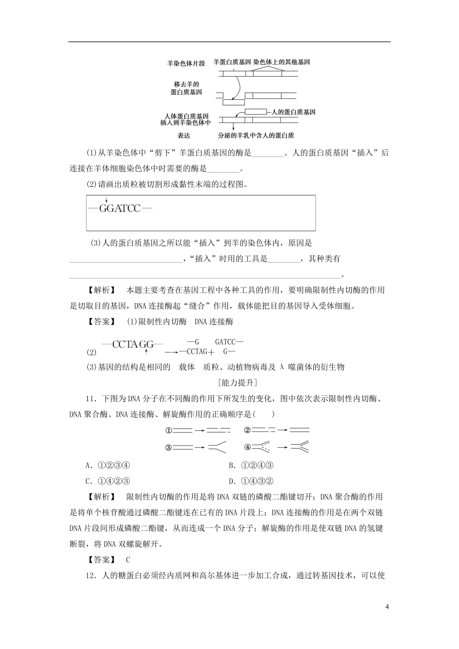 高中生物 第一单元 生物技术与生物工程 第一章 基因工程和蛋白质工程 第1节 基因工程的原理学业分层测评1 中图版选修3_第4页