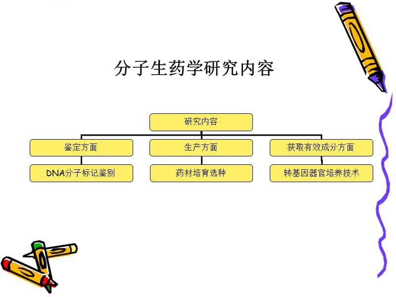 DNA分子标记用于中药鉴定课件_第3页