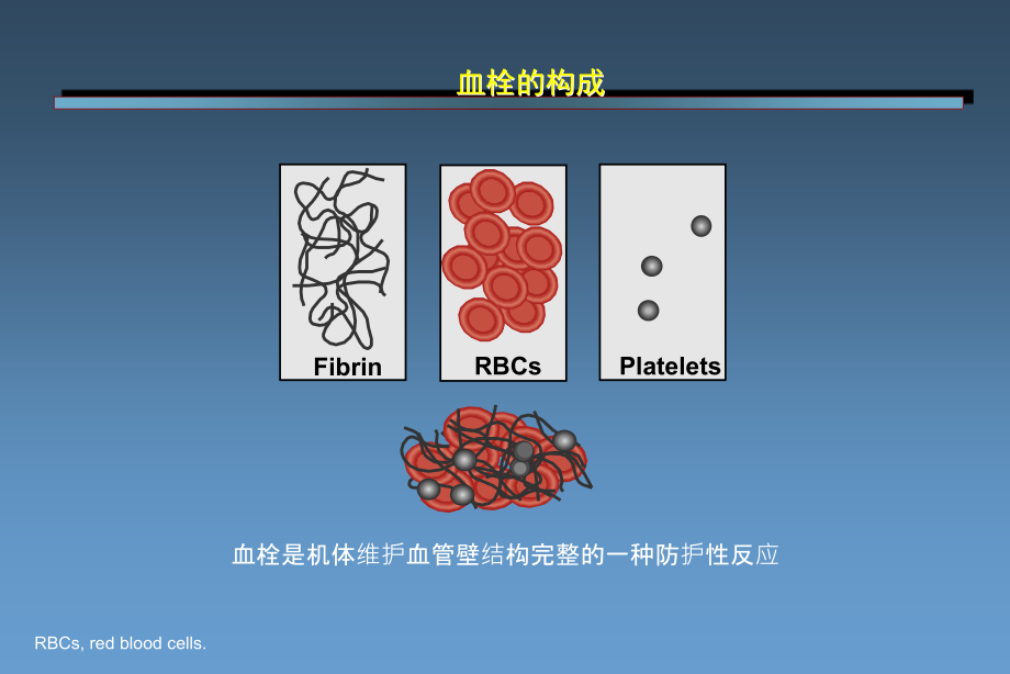 从普通肝素到磺达肝癸钠肝素类抗凝药物研发历程-_第2页