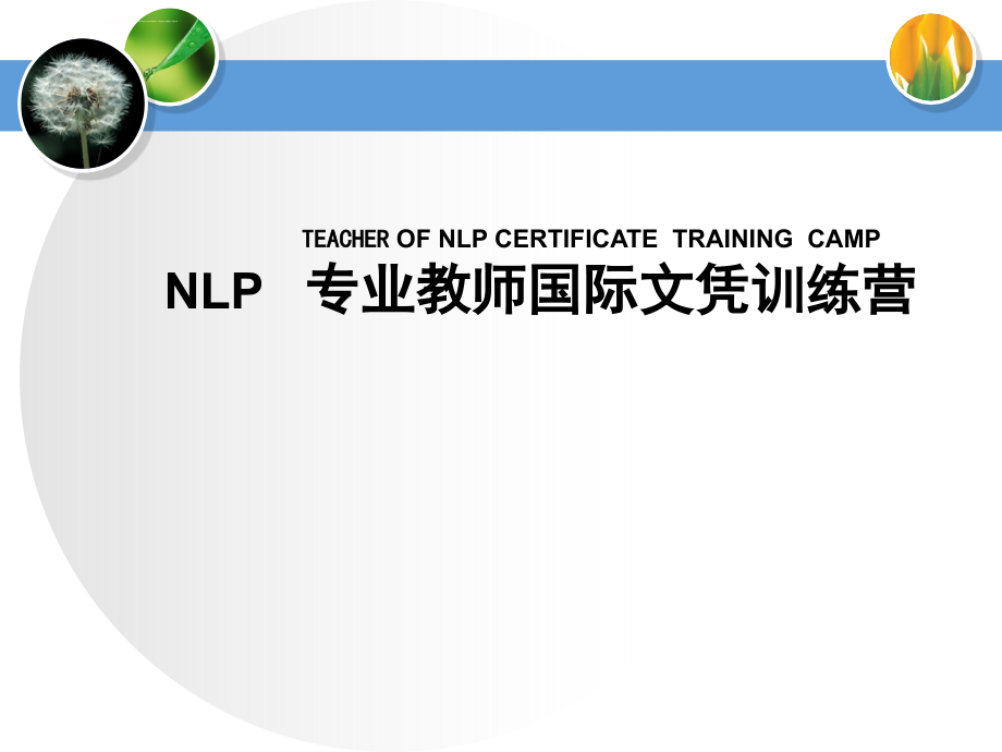 NLP专业执行师文凭课程(何志安)课件_第2页