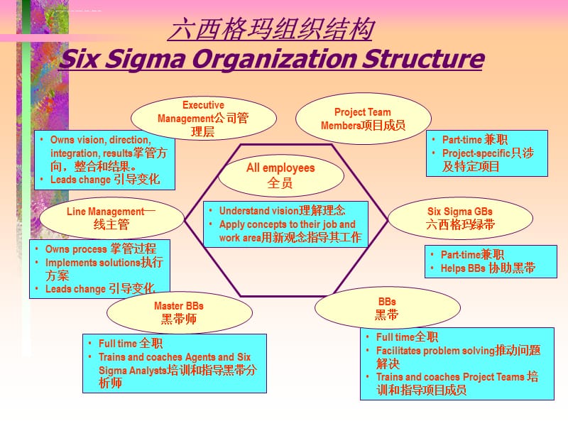 SS Step0六西格玛概述课件_第5页