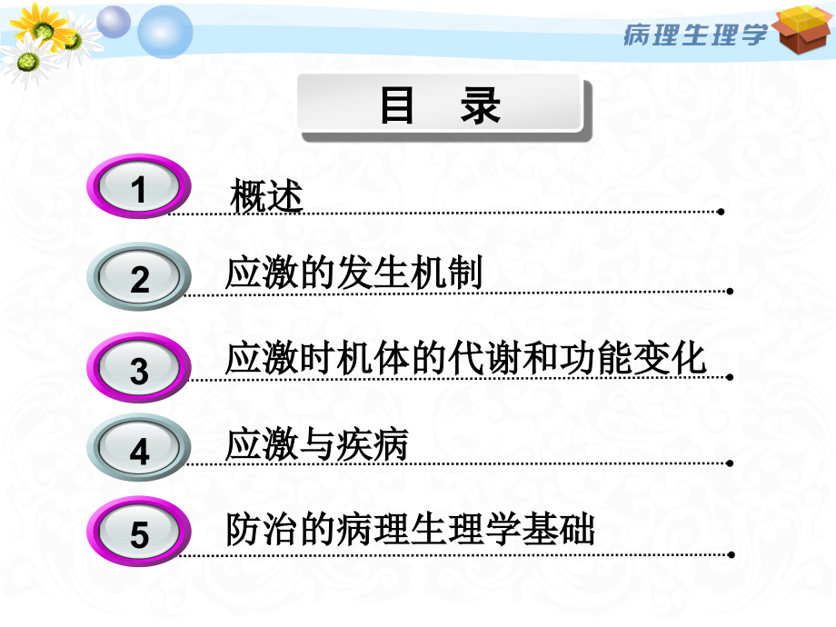 [病理生理学]应激 案例版-_第2页