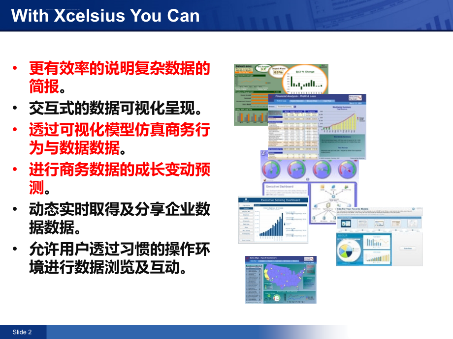 Crystal Xcelsius 水晶易表介绍课件_第2页