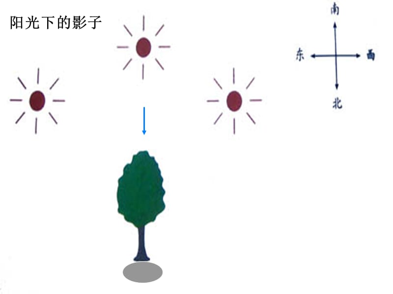 阳光下的影子的变化ppt课件_第4页