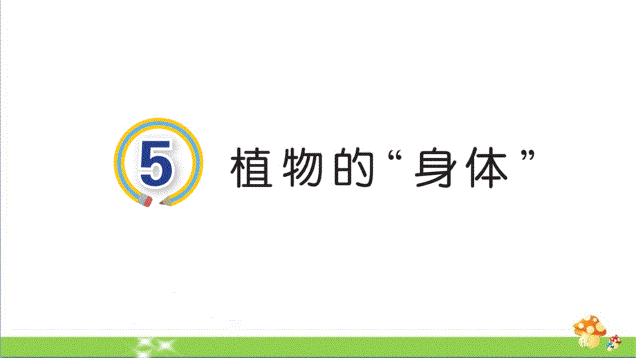 [新青岛版]5植物的“身体”三年级科学上册优质课件_第1页