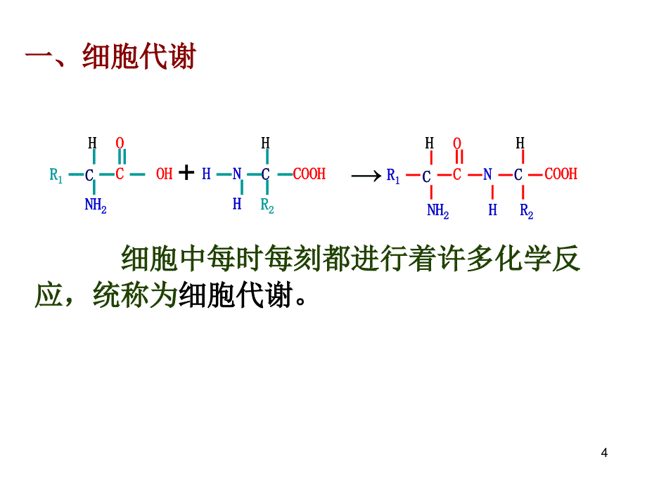 高一生物《第5章第1节 降低化学反应活化能的酶》课件_第4页