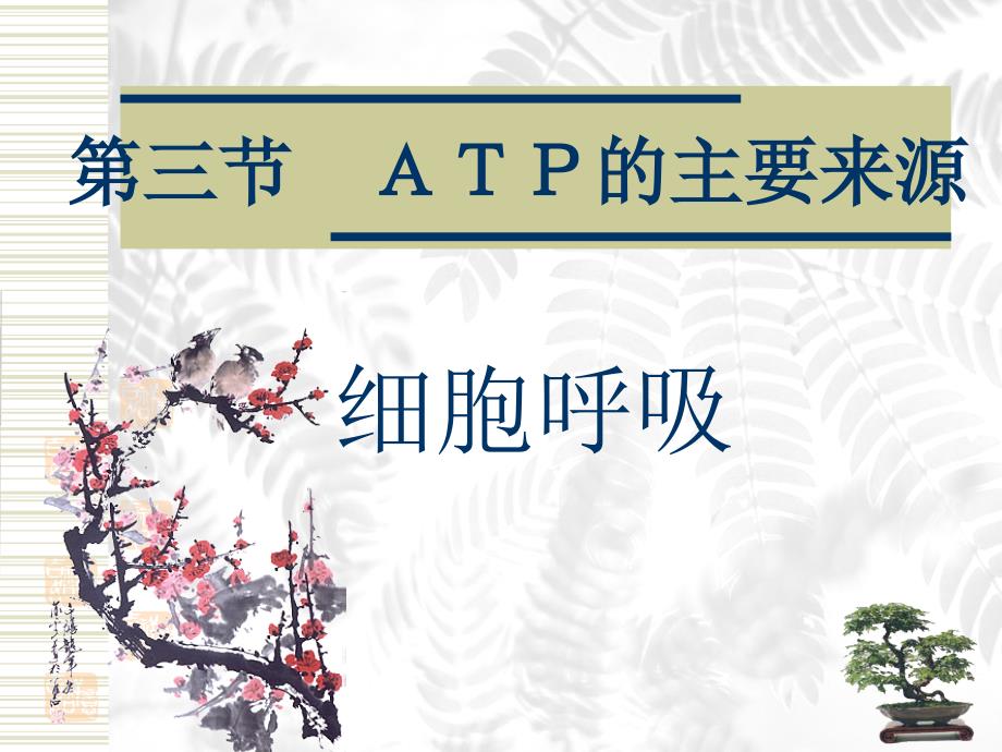 ATP的主要来源──细胞呼吸第一课时课件_第2页