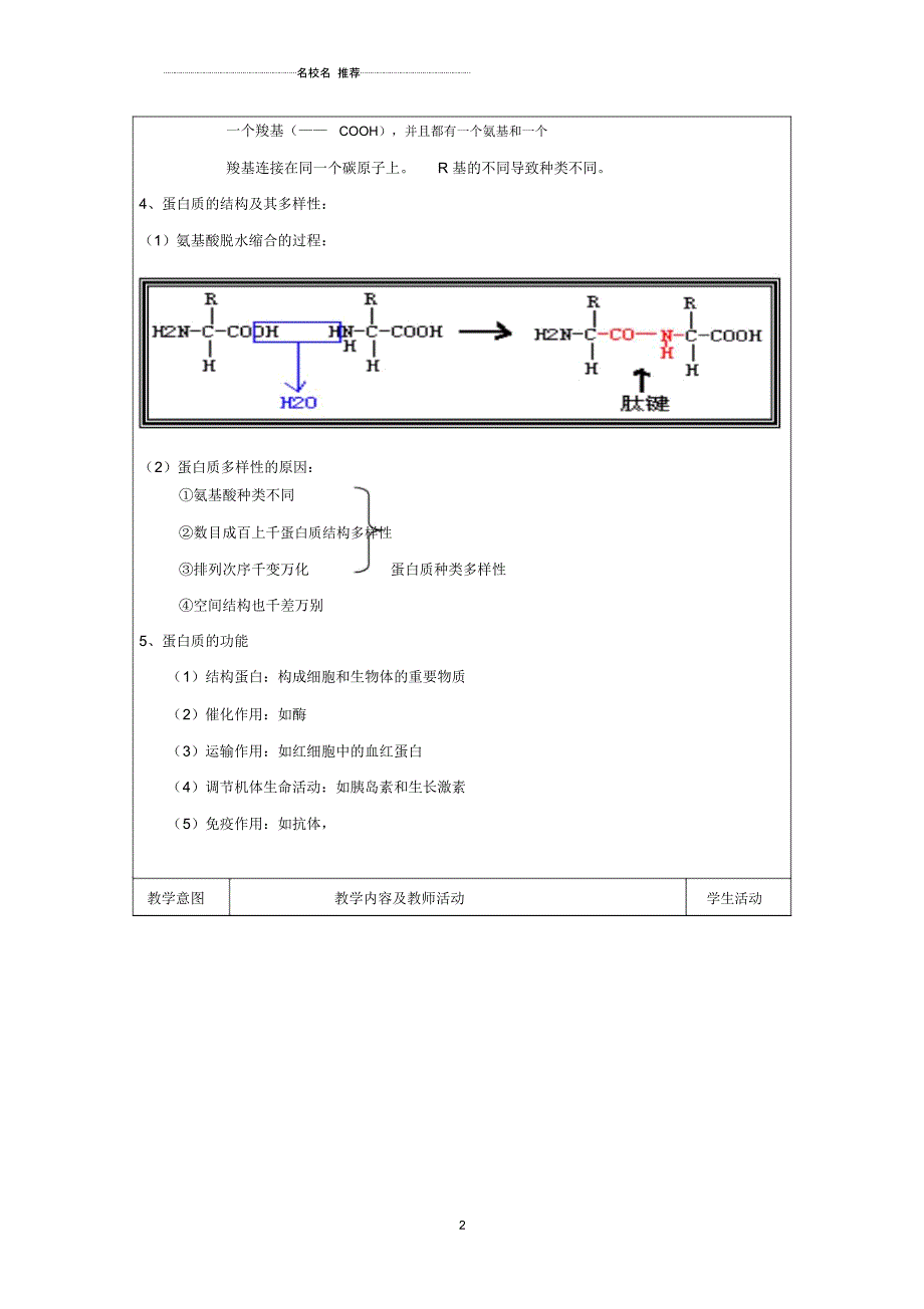 高中生物《生命活动的主要承担者——蛋白质》名师精选教案17新人教版必修1_第2页