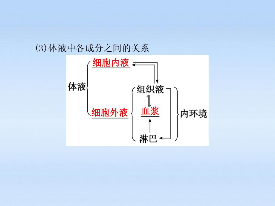 【步步高】高中生物一轮复习 第八单元 第30课时稳态与体温的调节课件 苏教必修3_第2页