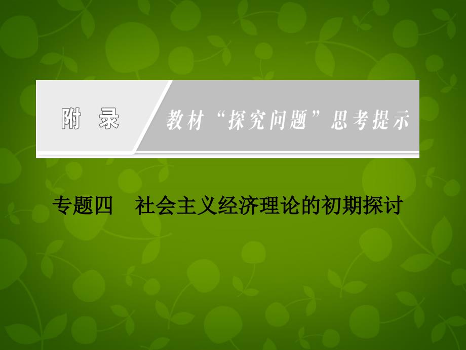 【创新方案】高中政治 附录 专题四 社会主义经济理论的初期探讨课件 新人教选修2_第2页