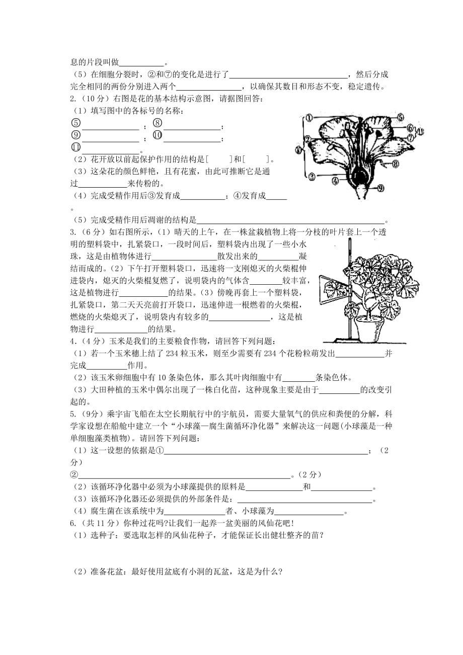 人教版七年级生物上册期末试卷及答案-_第3页