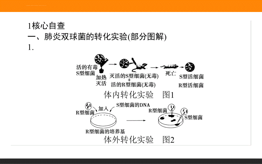 《师说》2016高考生物二轮专题复习课件专题四遗传变异和进化 第1讲遗传的物质基础_第2页