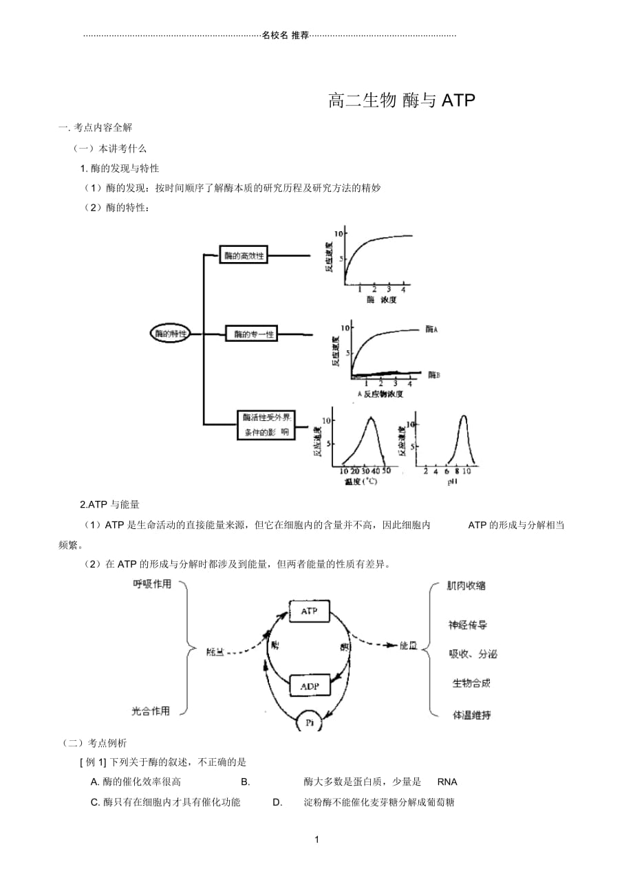 高二生物酶与ATP_第1页