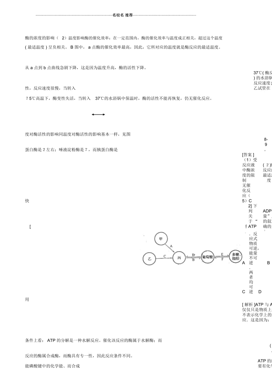 高二生物酶与ATP_第3页