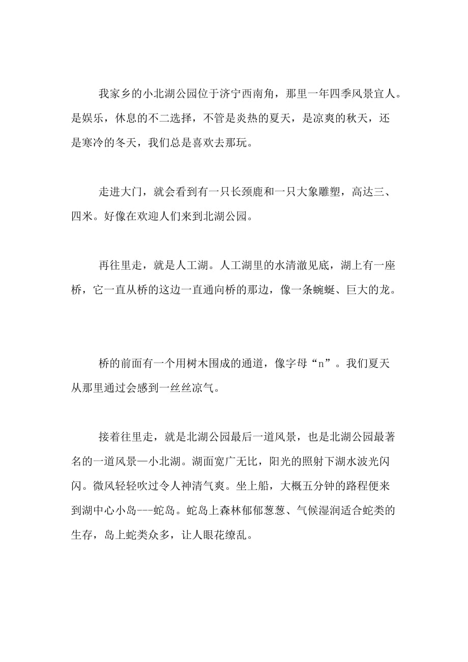 2020年济宁小北湖小学作文_第4页