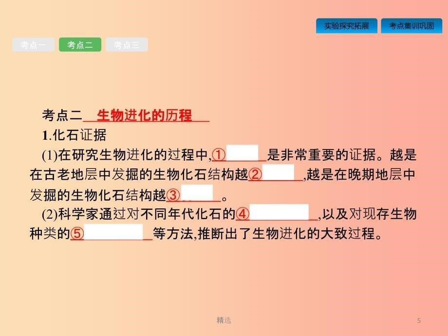 课标通用甘肃省2019年中考生物总复习第七单元生物圈中生命的延续和发展第二十三讲生命起源和生物进化课件_第5页