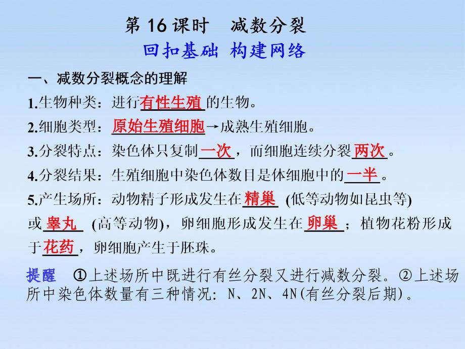 【步步高】高中生物一轮复习 第五单元 第16课时减数分裂课件 苏教必修2_第1页