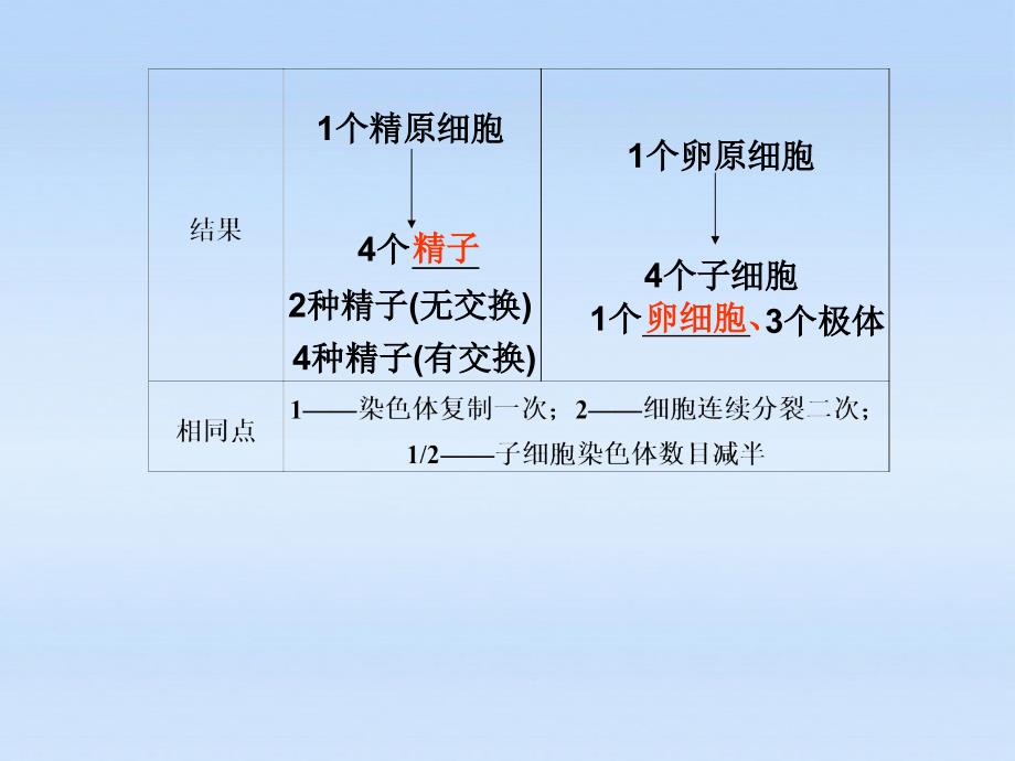 【步步高】高中生物一轮复习 第五单元 第16课时减数分裂课件 苏教必修2_第4页