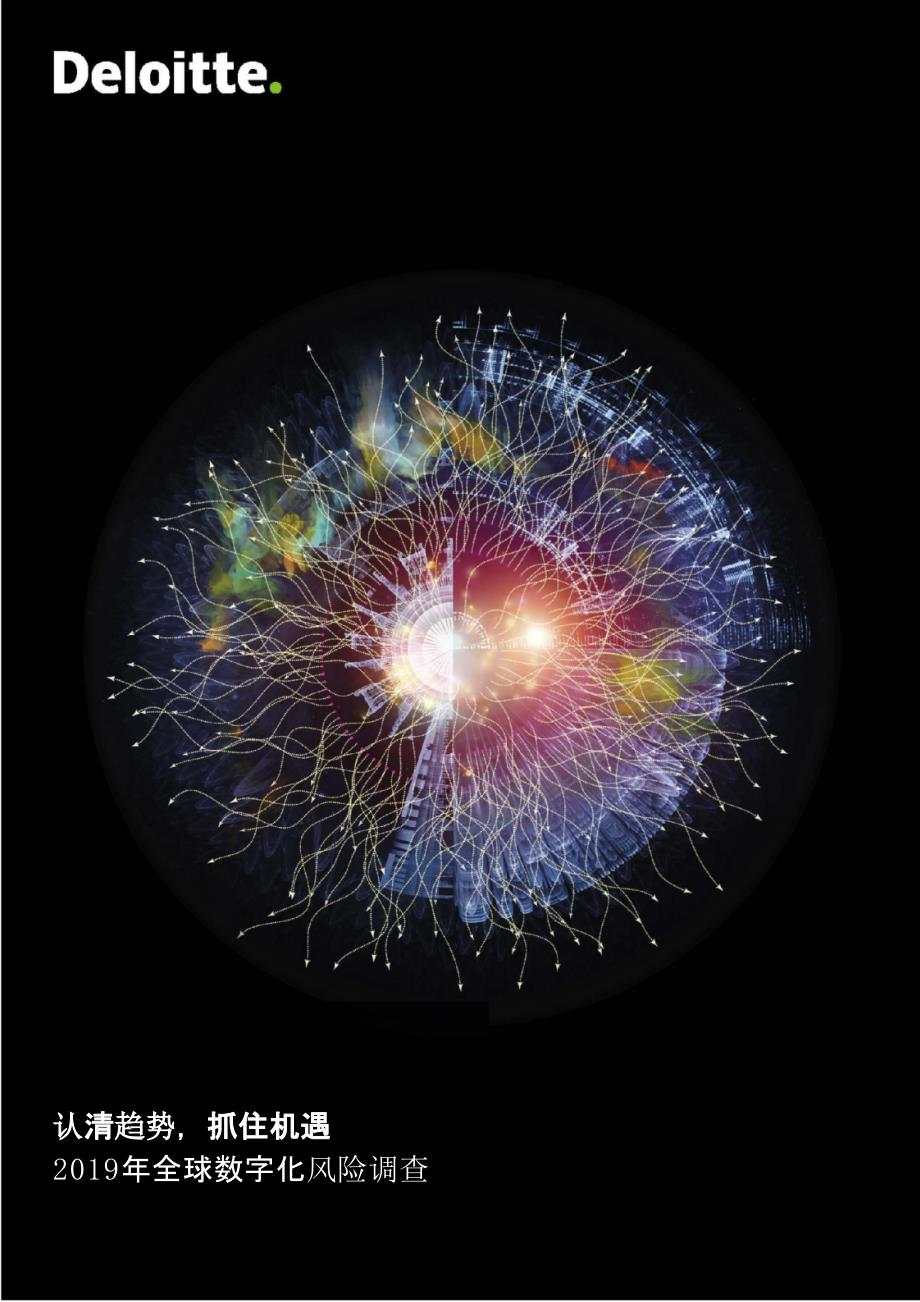 认清趋势抓住机遇—2019全球数字化风险调查报告_第1页