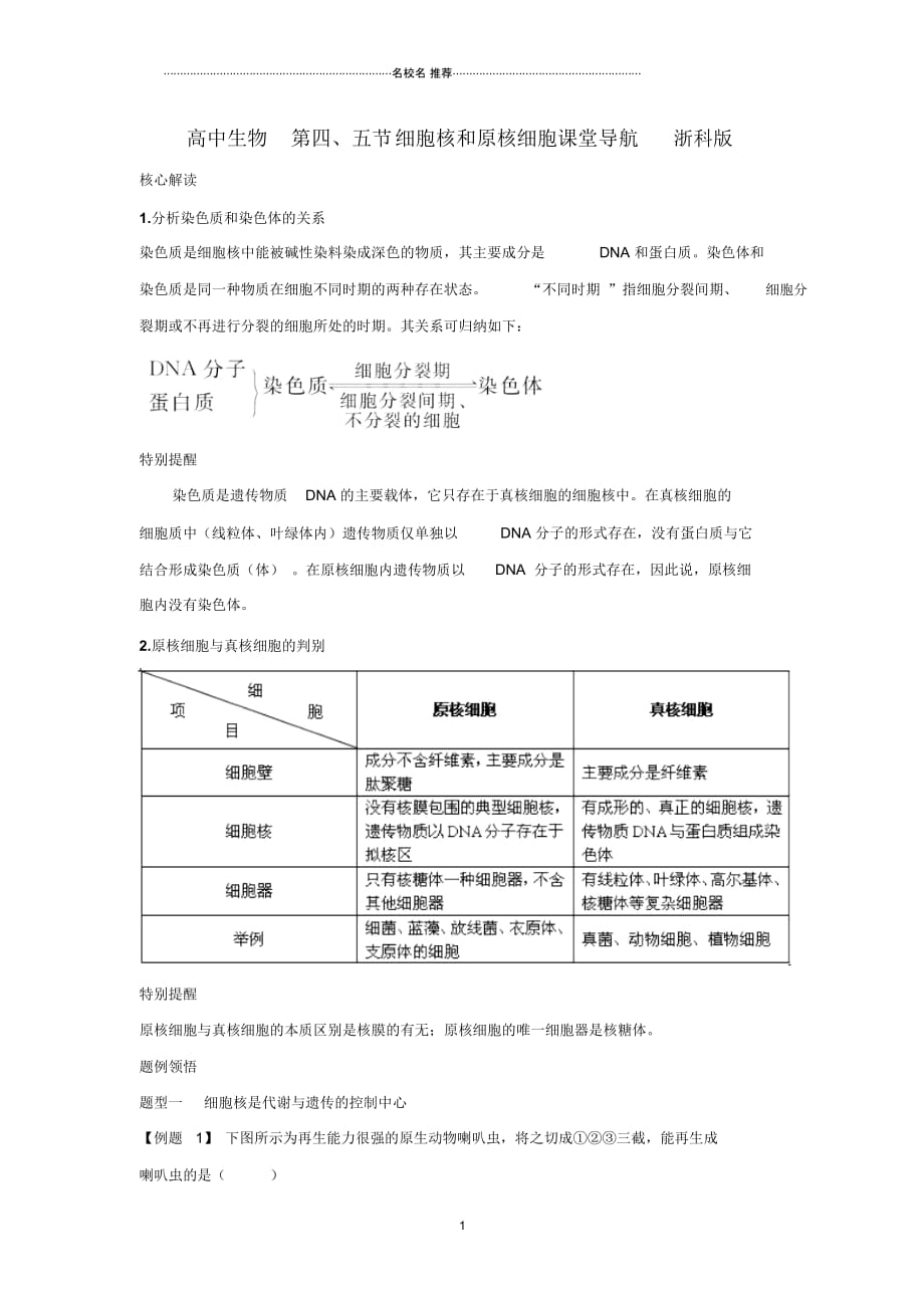 高中生物第四、五节细胞核和原核细胞课堂导航浙科版_第1页