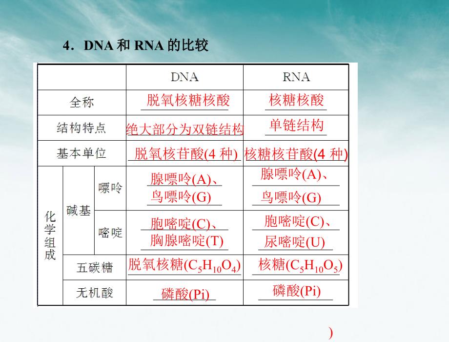 《随堂优化训练》高中生物 第2章 第3节 遗传信息的携带者——核酸课件 新人教必修1 新课标_第3页