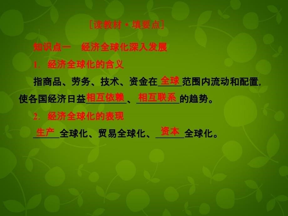 【创新方案】高中政治 第四单元 第十一课 第一框 面对经济全球化课件 新人教必修1_第5页