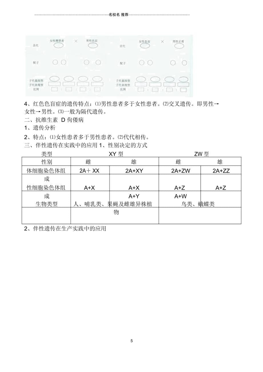 新人教版必修2高中生物伴性遗传2_第5页