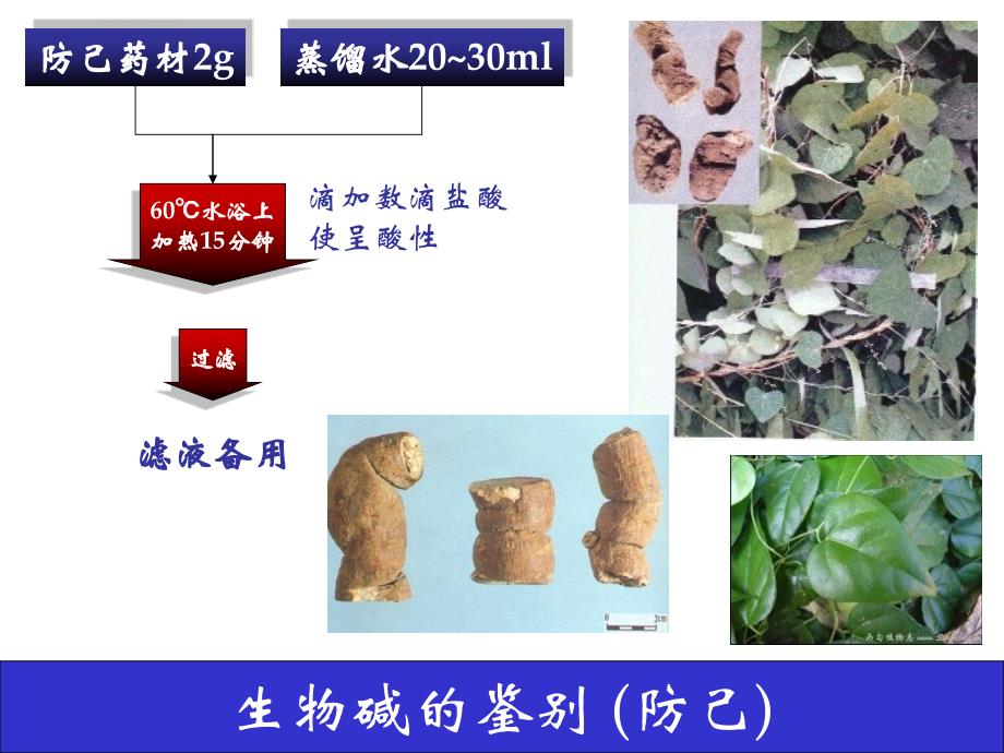 天然药物化学成分的预实验课件_第3页