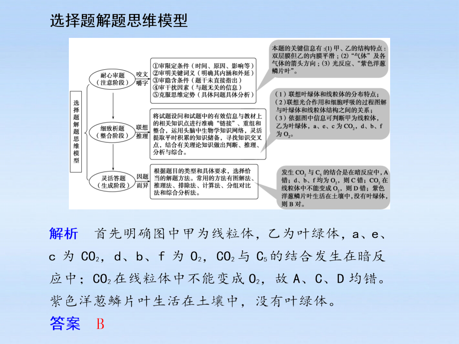 【步步高】高中生物一轮复习 第三单元 单元综合提升课件 苏教必修1_第3页