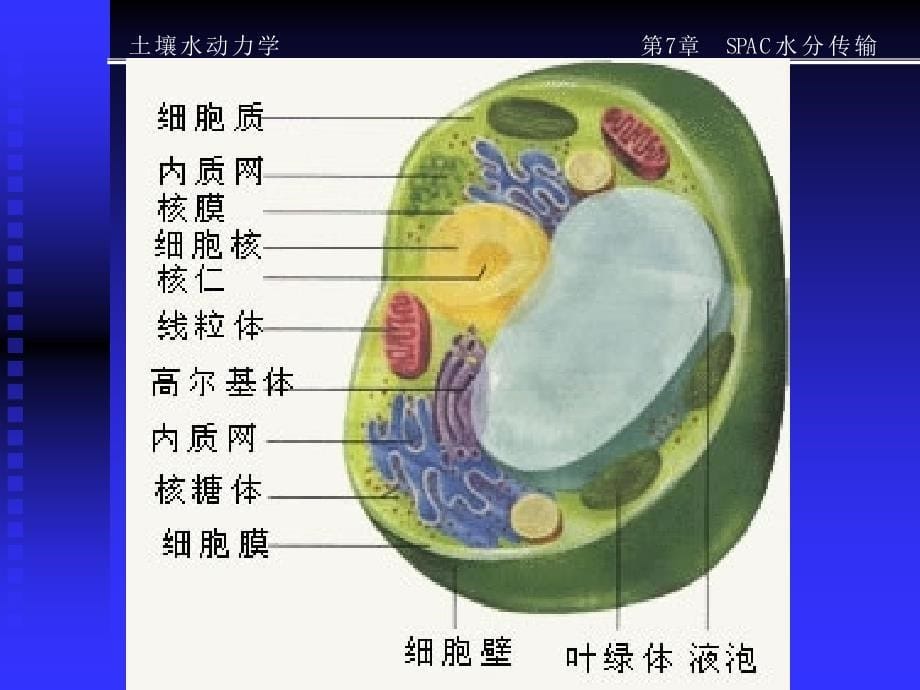 土壤水动力学SWD7SPAC水分传输精编版_第5页