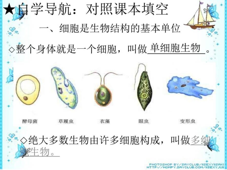 七年级生物细胞的结构和功能2图文课件_第3页